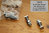 Norton Gardengate Frame - Plunger Square Type Adjuster Bolts and Nuts (Stainless Steel) - Pair